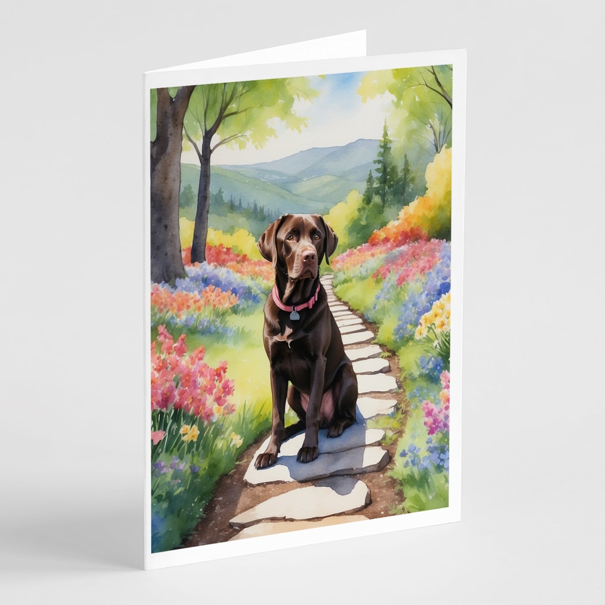 5 x 7 in. Labrador Retriever Spring Path Greeting Cards - Pack of 8