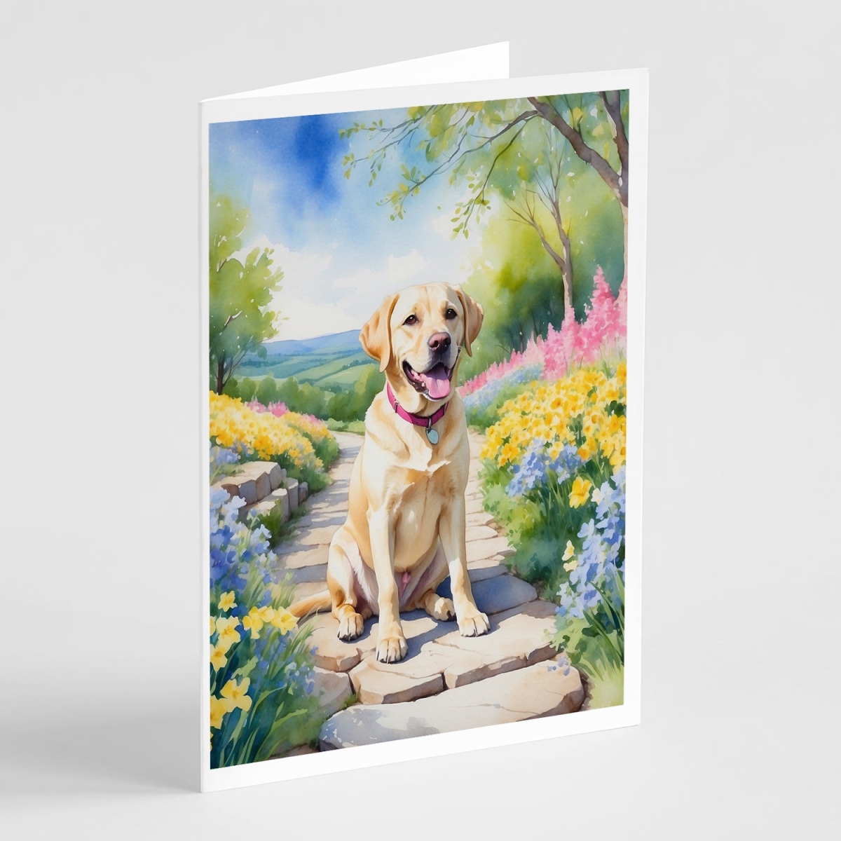 5 x 7 in. Labrador Retriever Spring Path Greeting Cards - Pack of 8