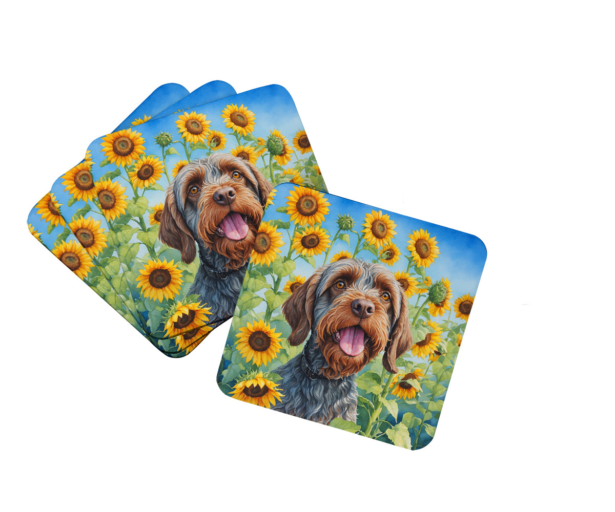Picture of Carolines Treasures DAC6177FC 3.5 x 3.5 in. Unisex Wirehaired Pointing Griffon in Sunflowers Foam Coasters - Set of 4