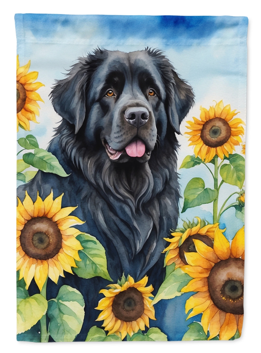 DAC6123CHF 40 x 28 in. foundland in Sunflowers House Flag