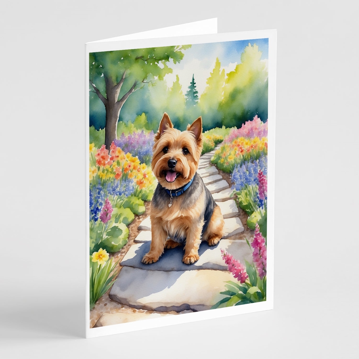 DAC6680GCA7P 5 x 7 in. Norwich Terrier Spring Path Greeting Cards - Pack of 8