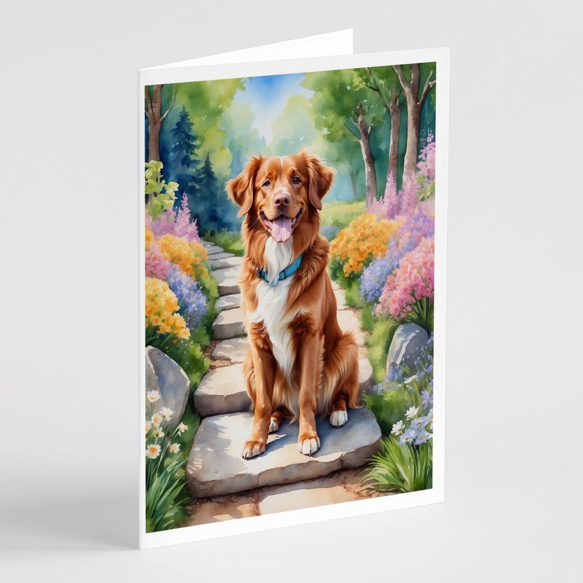 DAC6681GCA7P 5 x 7 in. Nova Scotia Duck Tolling Retriever Spring Path Greeting Cards - Pack of 8