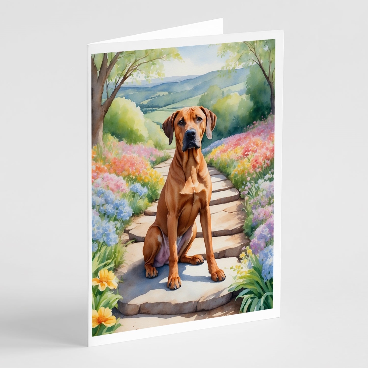 DAC6704GCA7P 5 x 7 in. Rhodesian Ridgeback Spring Path Greeting Cards - Pack of 8