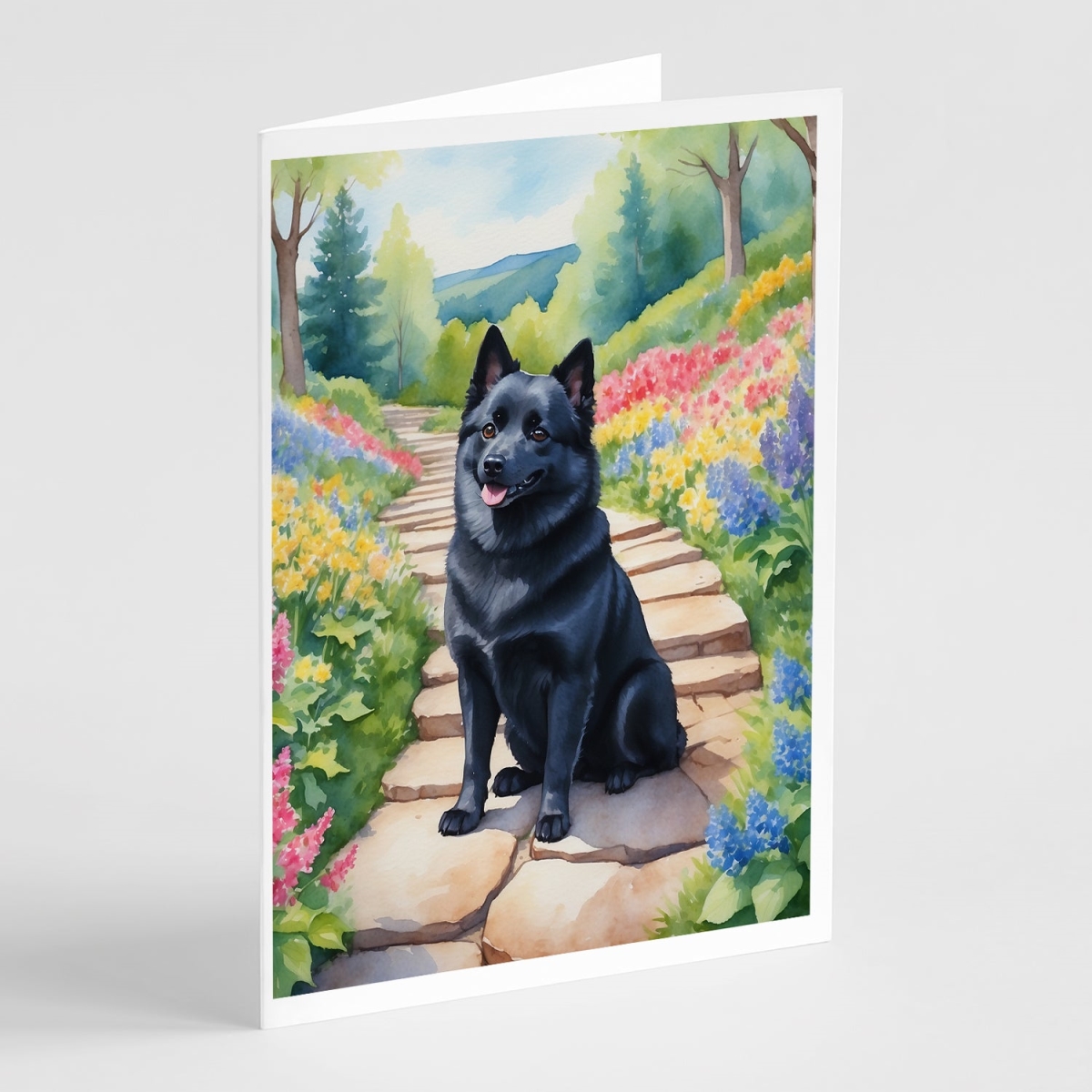 5 x 7 in. Schipperke Spring Path Greeting Cards - Pack of 8