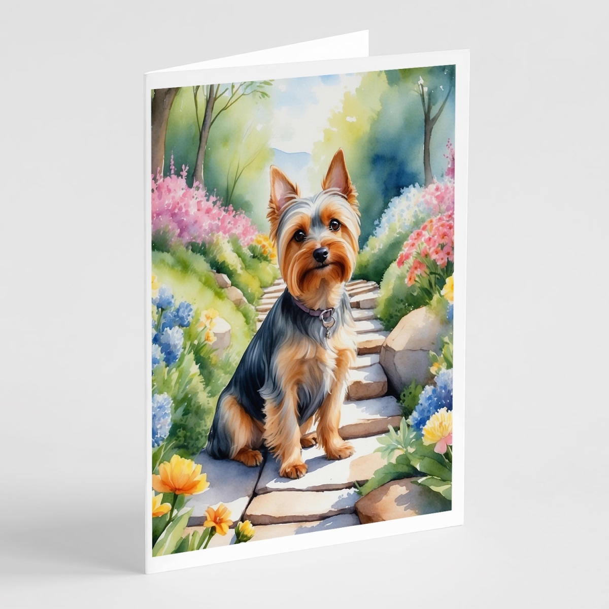 DAC6720GCA7P 5 x 7 in. Silky Terrier Spring Path Greeting Cards - Pack of 8