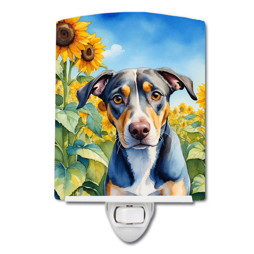 DAC6046CNL 6 x 4 in. Catahoula in Sunflowers Ceramic Night Light