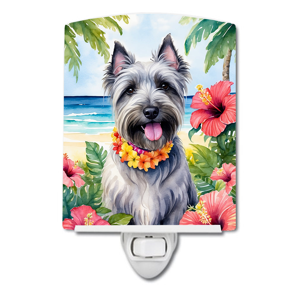 DAC6524CNL 6 x 4 in. Skye Terrier Luau Ceramic Night Light