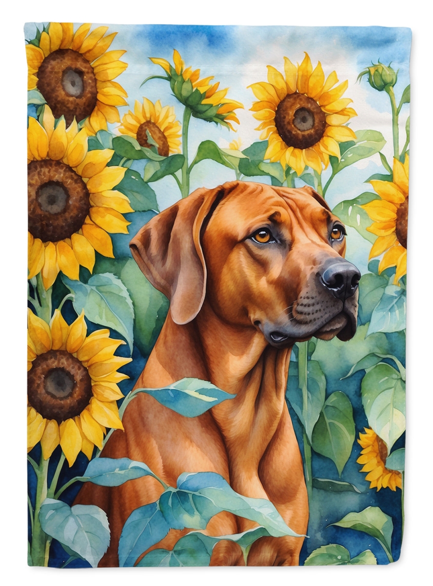 40 x 28 in. Rhodesian Ridgeback in Sunflowers House Flag