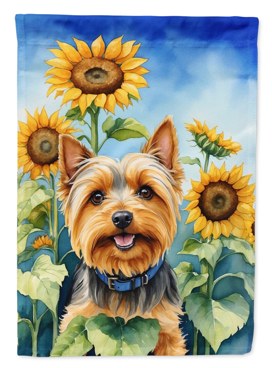 DAC6165CHF 40 x 28 in. Silky Terrier in Sunflowers House Flag