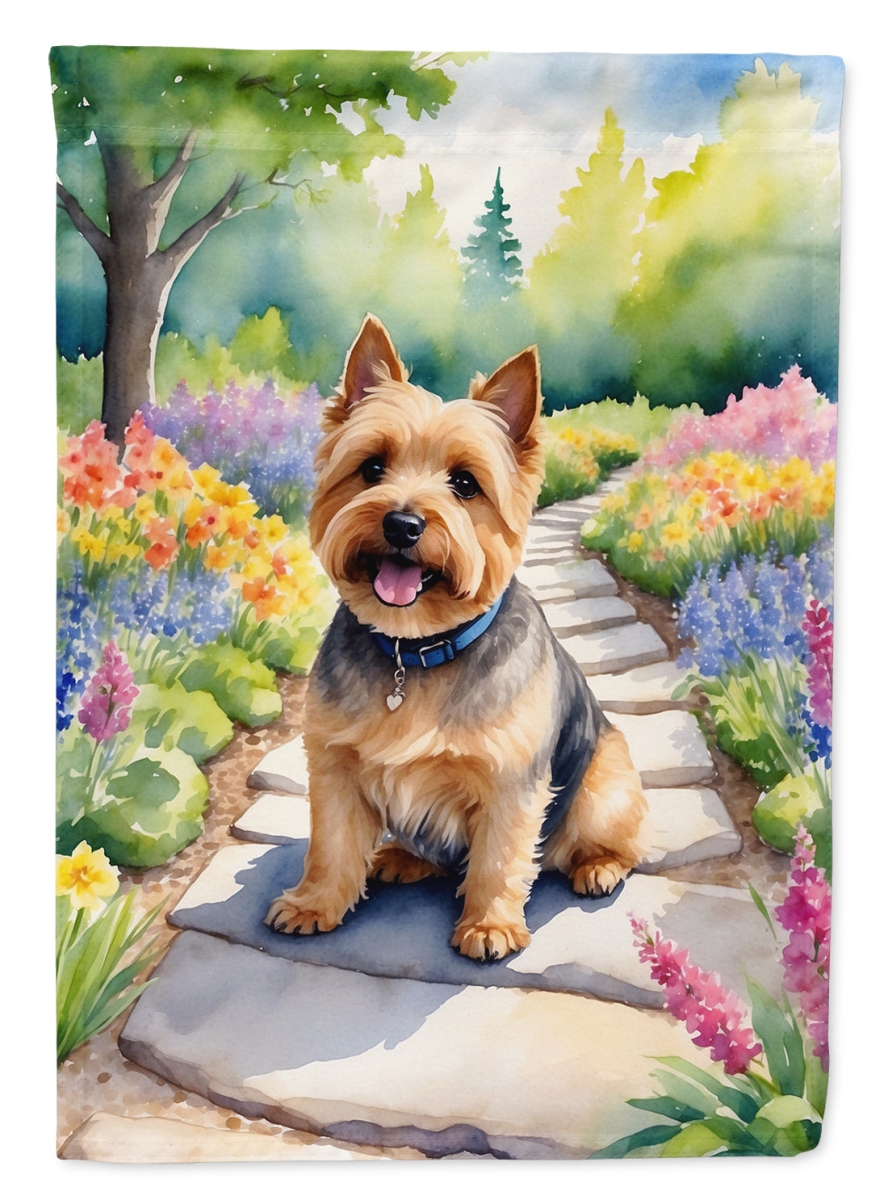 DAC6680CHF 40 x 28 in. Norwich Terrier Spring Path House Flag