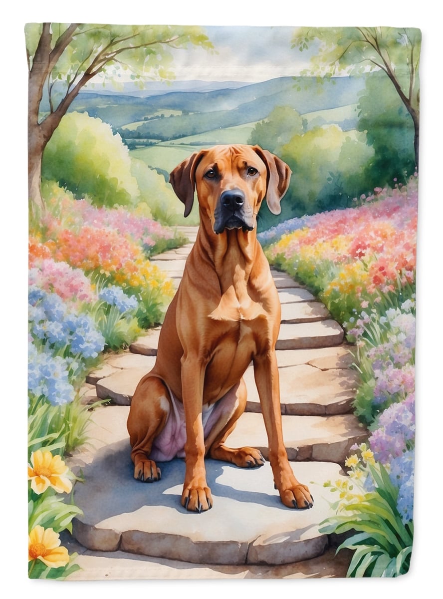 DAC6704CHF 40 x 28 in. Rhodesian Ridgeback Spring Path House Flag