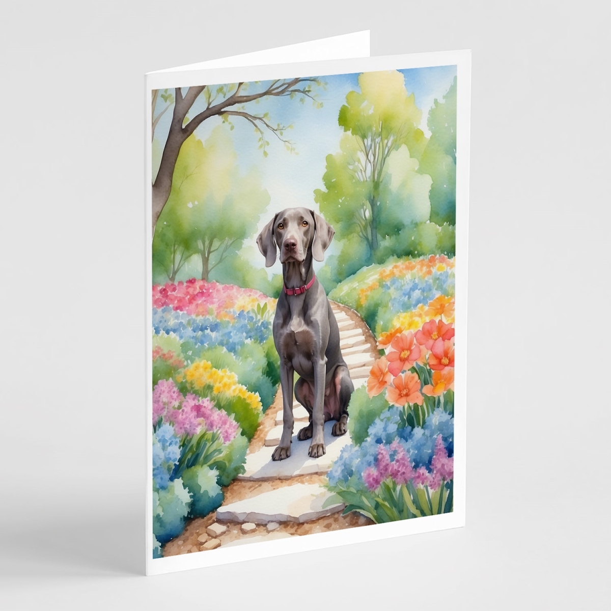 DAC6728GCA7P 5 x 7 in. Weimaraner Spring Path Greeting Cards - Pack of 8