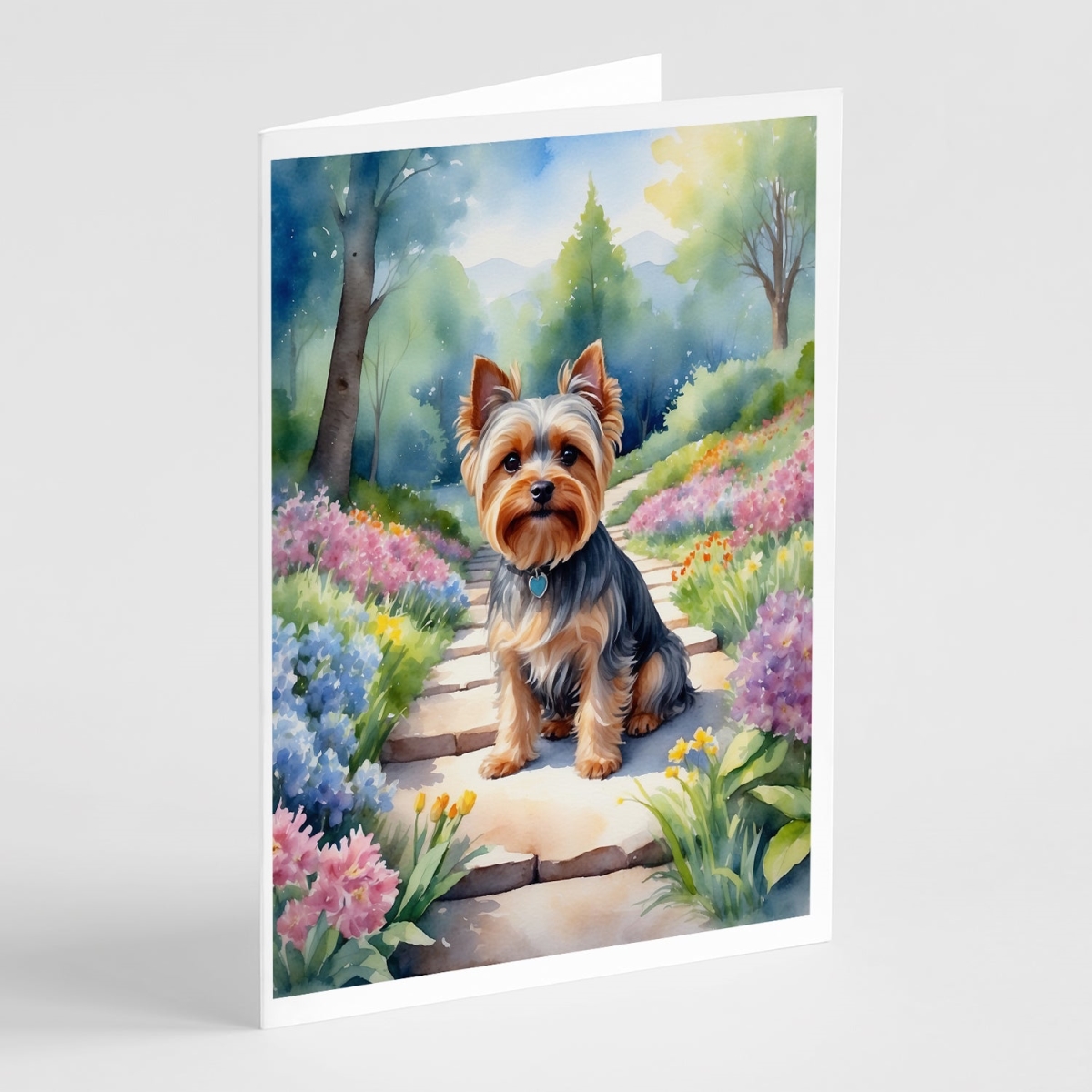 DAC6736GCA7P 5 x 7 in. Yorkshire Terrier Spring Path Greeting Cards - Pack of 8