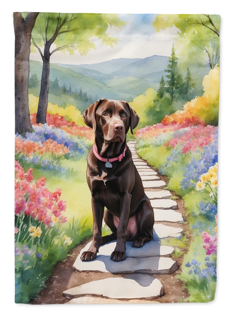DAC6663GF 15.5 x 11.25 in. Labrador Retriever Spring Path Garden Flag