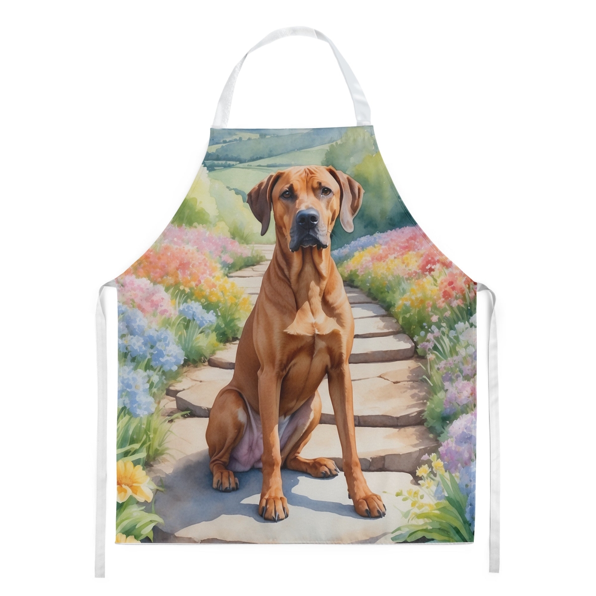 Picture of Carolines Treasures DAC6704APRON 30 x 27 in. Rhodesian Ridgeback Spring Path Apron
