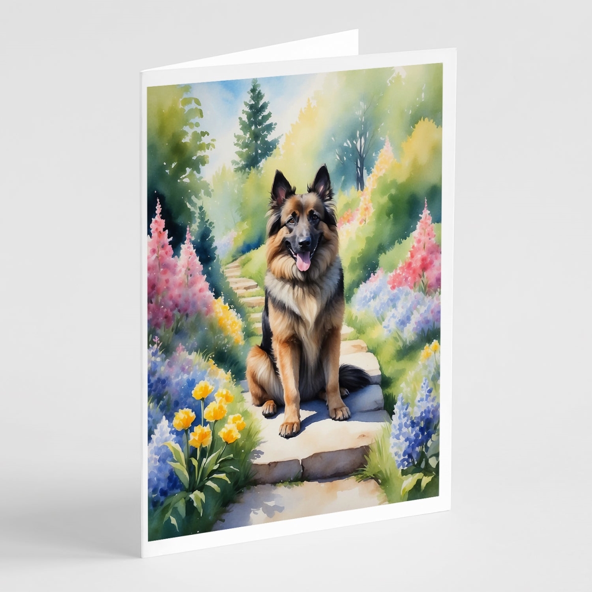 DAC6565GCA7P 5 x 7 in. Belgian Tervuren Spring Path Greeting Cards - Pack of 8