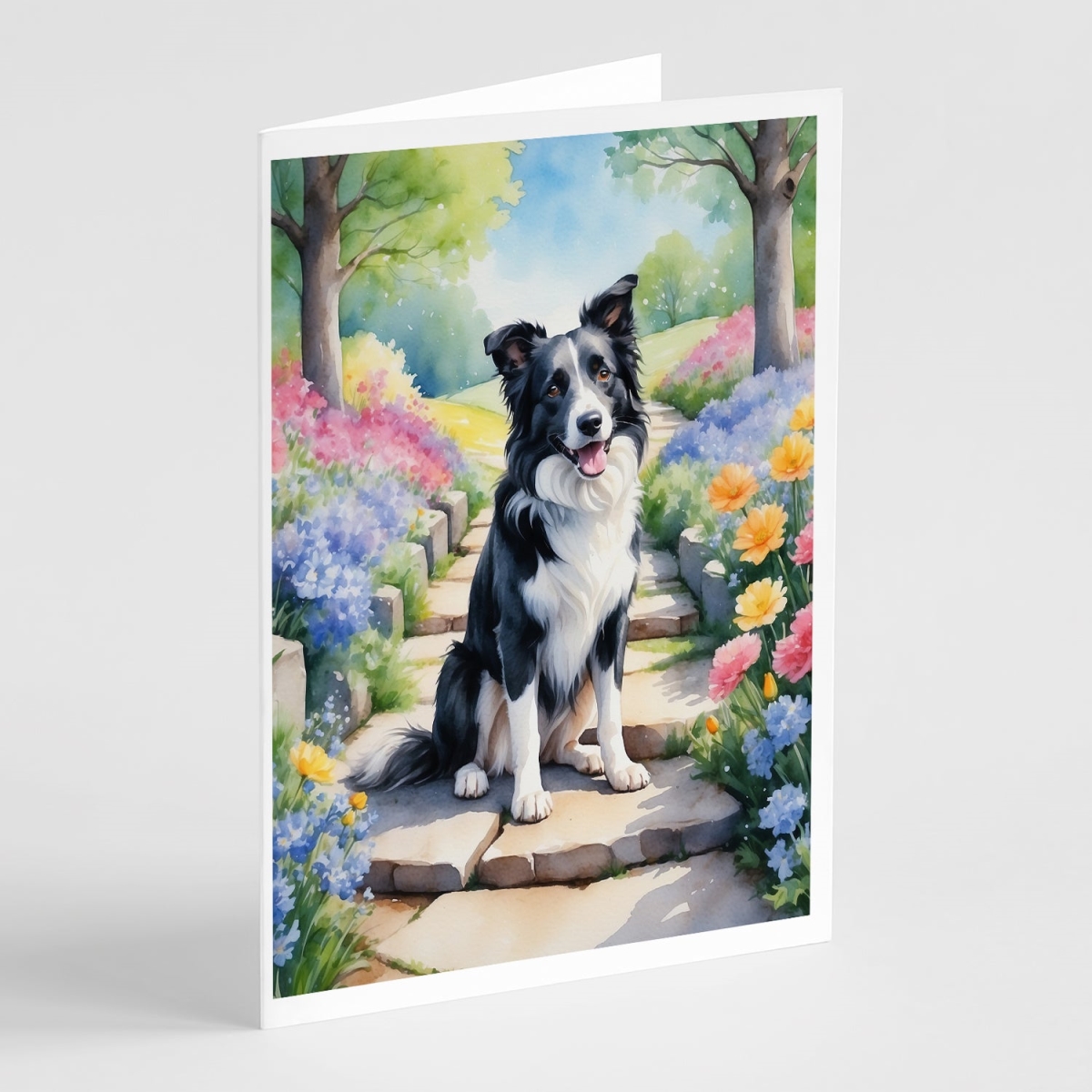 5 x 7 in. Border Collie Spring Path Greeting Cards - Pack of 8
