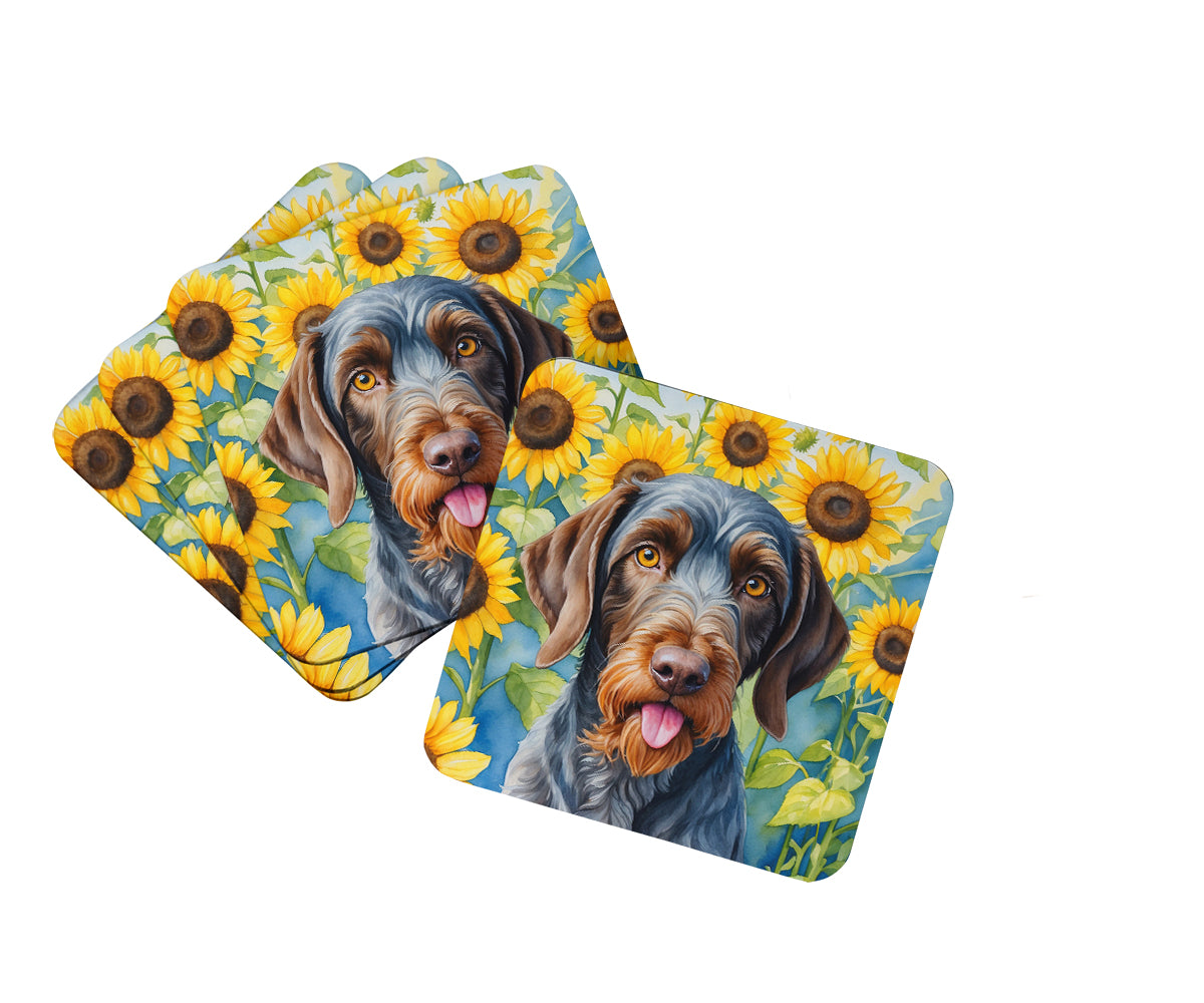 DAC6086FC 3.5 x 3.5 in. German Wirehaired Pointer in Sunflowers Foam Coasters - Set of 4