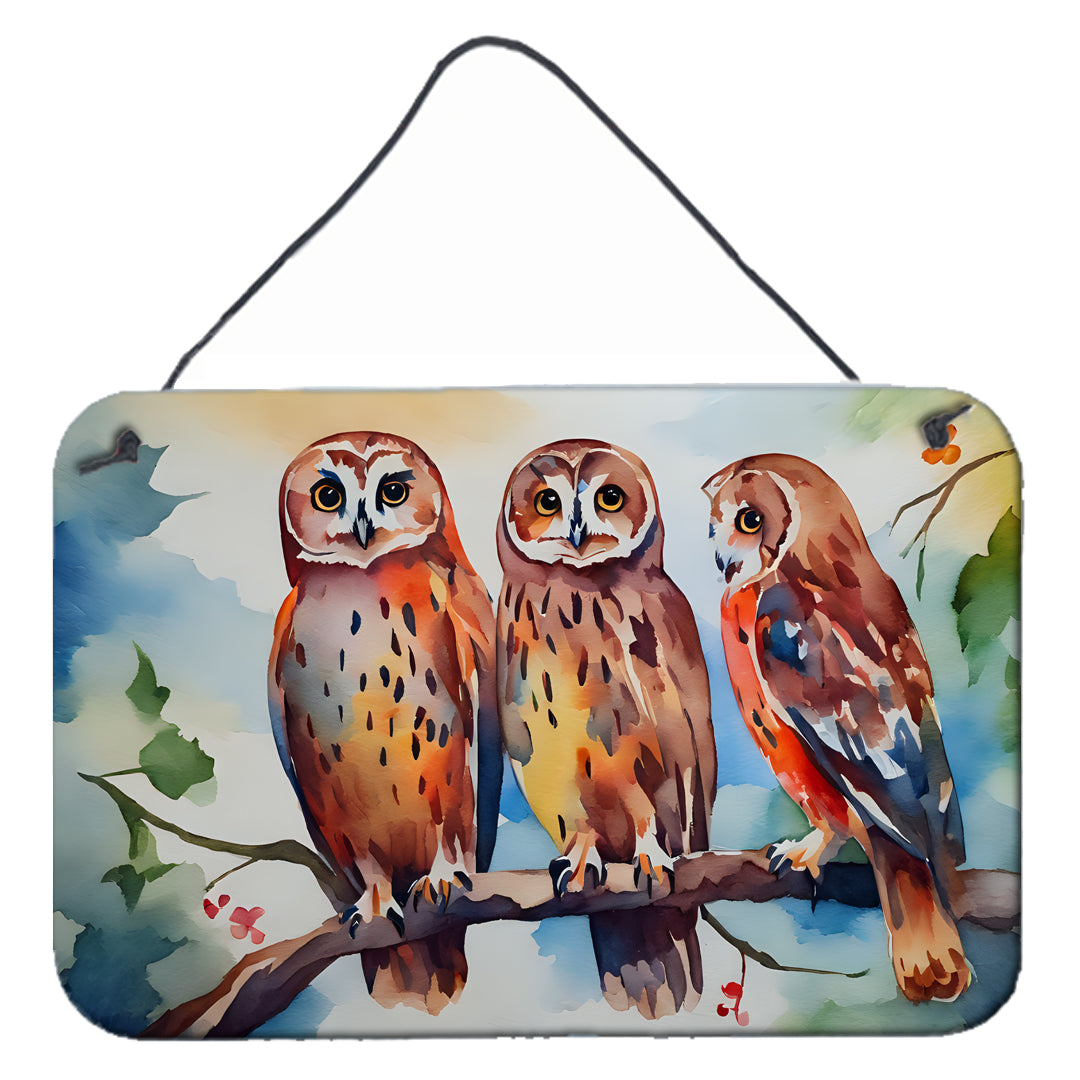 DAC3247DS812 12 x 8 in. Owls Wall or Door Hanging Prints