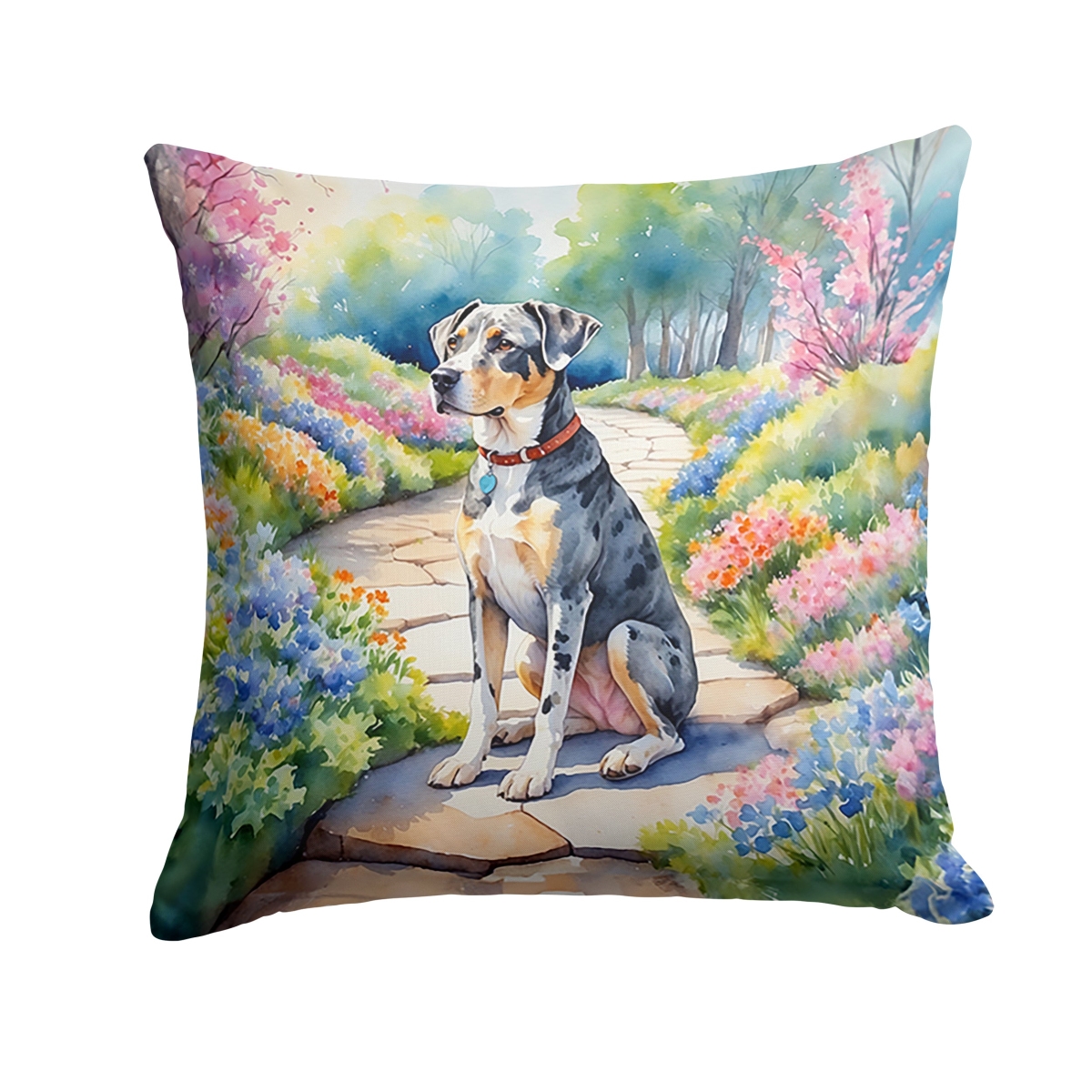 DAC6592PW1414 14 x 14 in. Catahoula Spring Path Throw Pillow