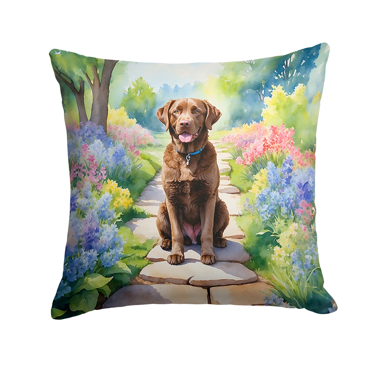DAC6595PW1414 14 x 14 in. Chesapeake Bay Retriever Spring Path Throw Pillow