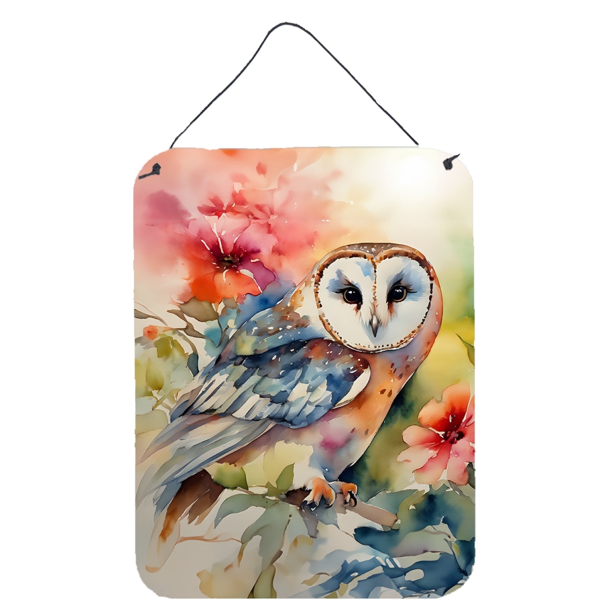DAC3181DS1216 16 x 12 in. Barn Owl Wall or Door Hanging Prints
