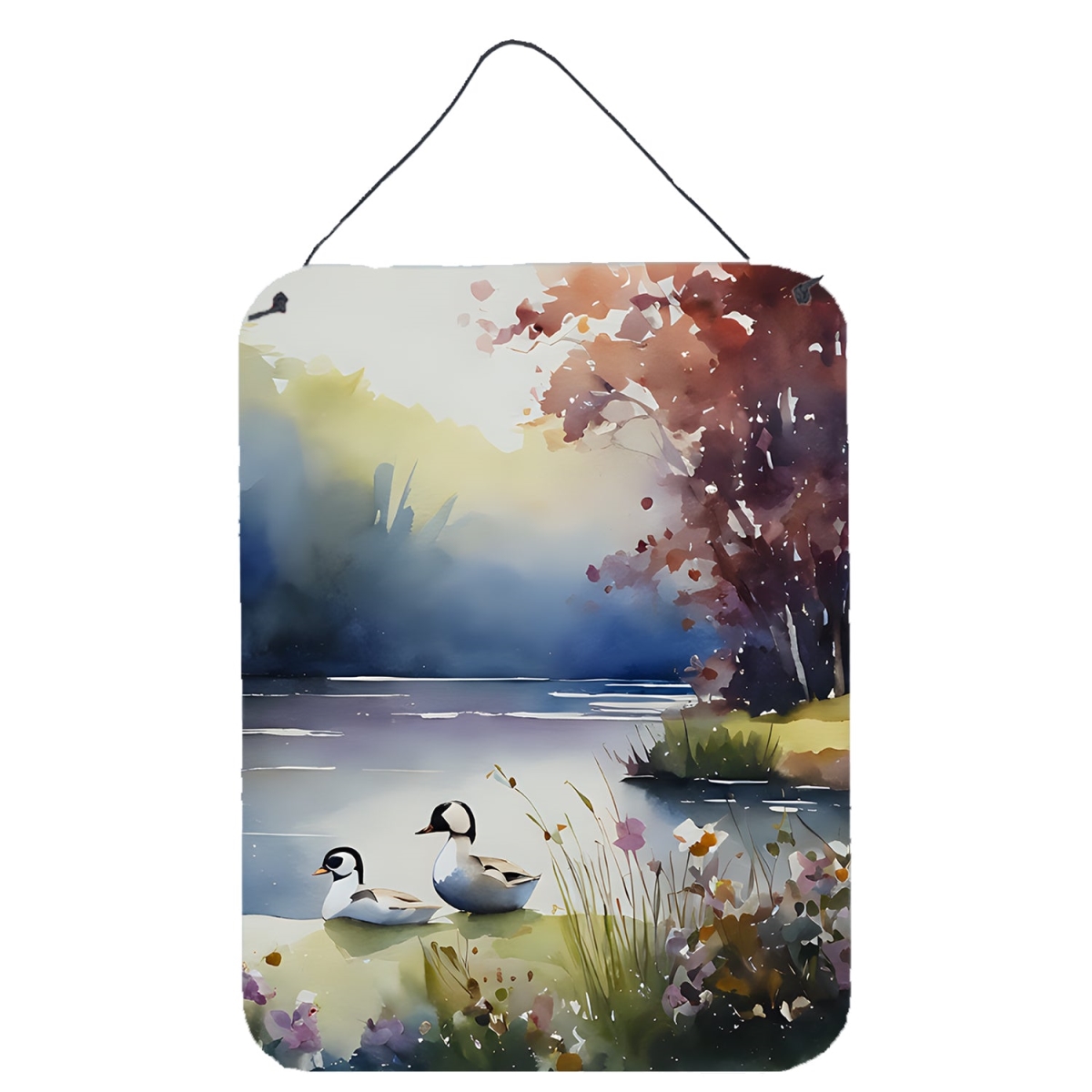 DAC3193DS1216 16 x 12 in. Bufflehead Wall or Door Hanging Prints