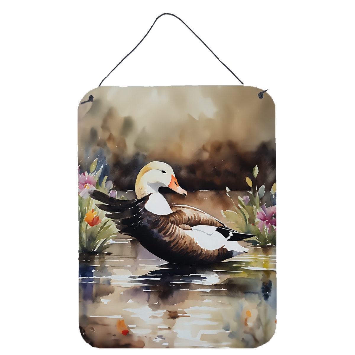 DAC3203DS1216 16 x 12 in. Common Eider Duck Wall or Door Hanging Prints