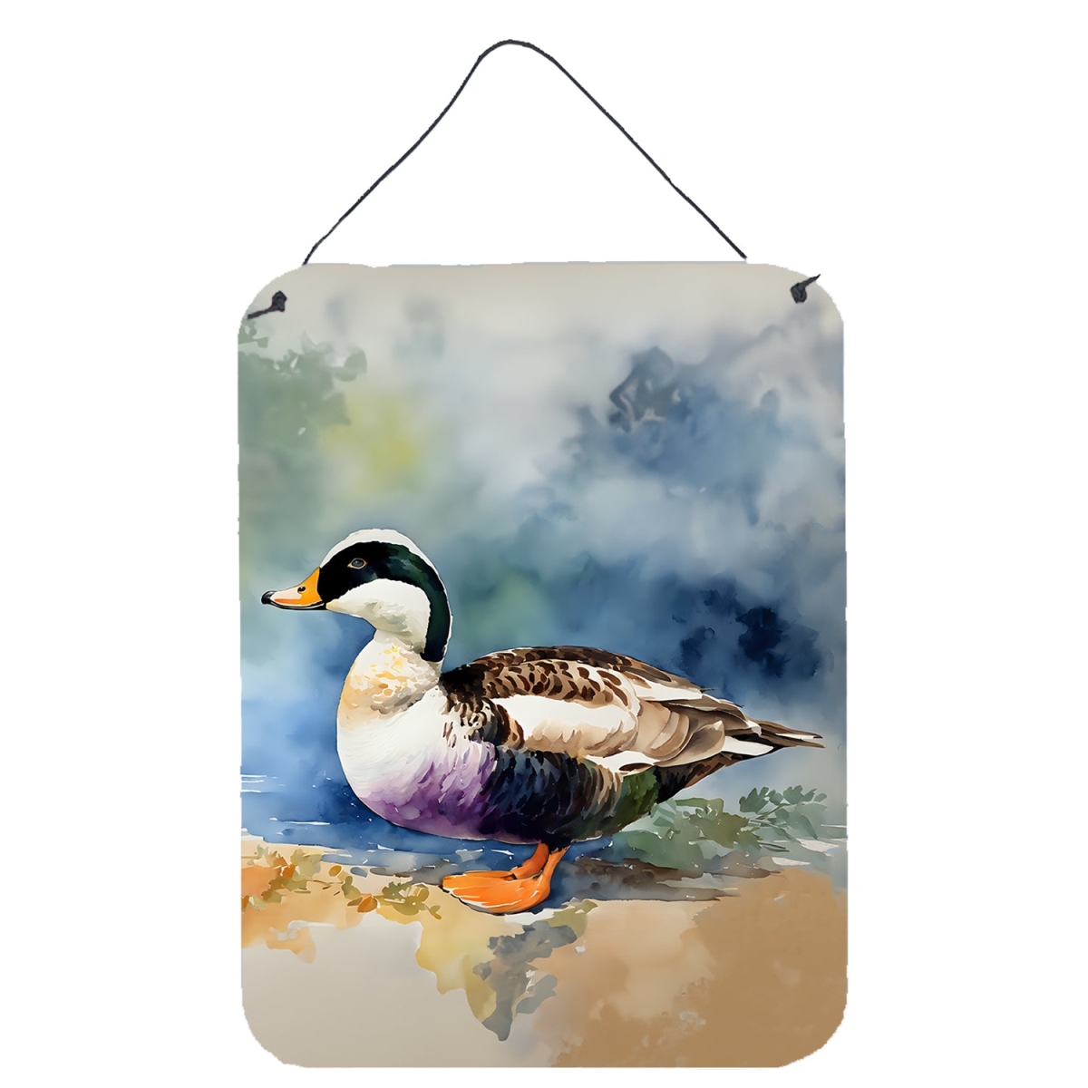 DAC3204DS1216 16 x 12 in. Common Eider Duck Wall or Door Hanging Prints