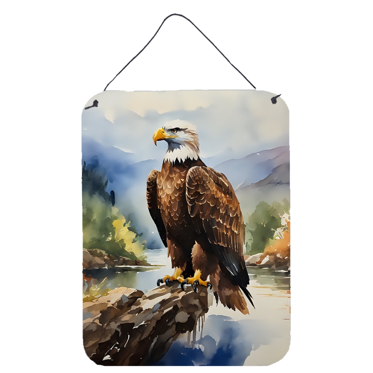 DAC3211DS1216 16 x 12 in. Eagle Wall or Door Hanging Prints