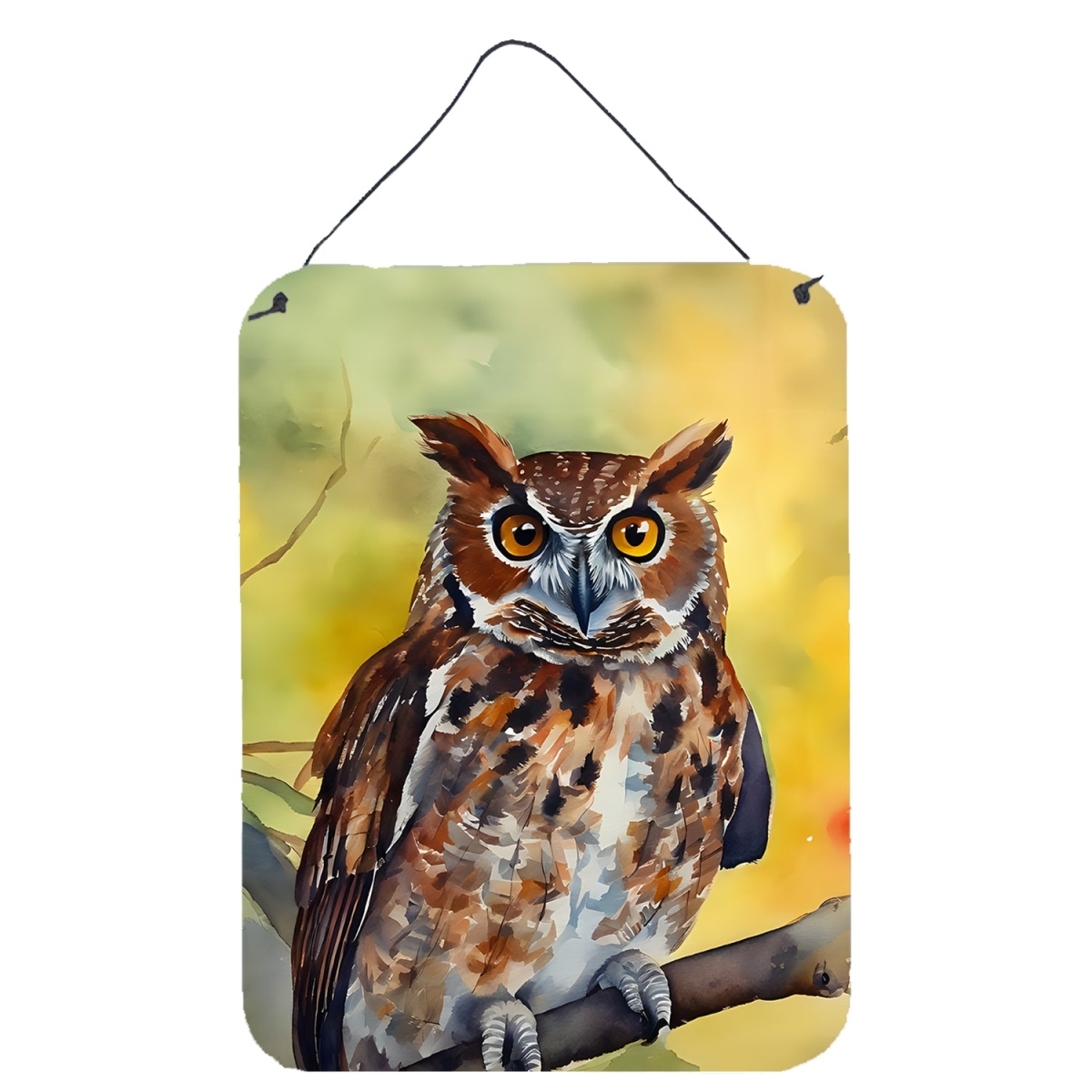 DAC3218DS1216 16 x 12 in. Eastern Screech Owl Wall or Door Hanging Prints