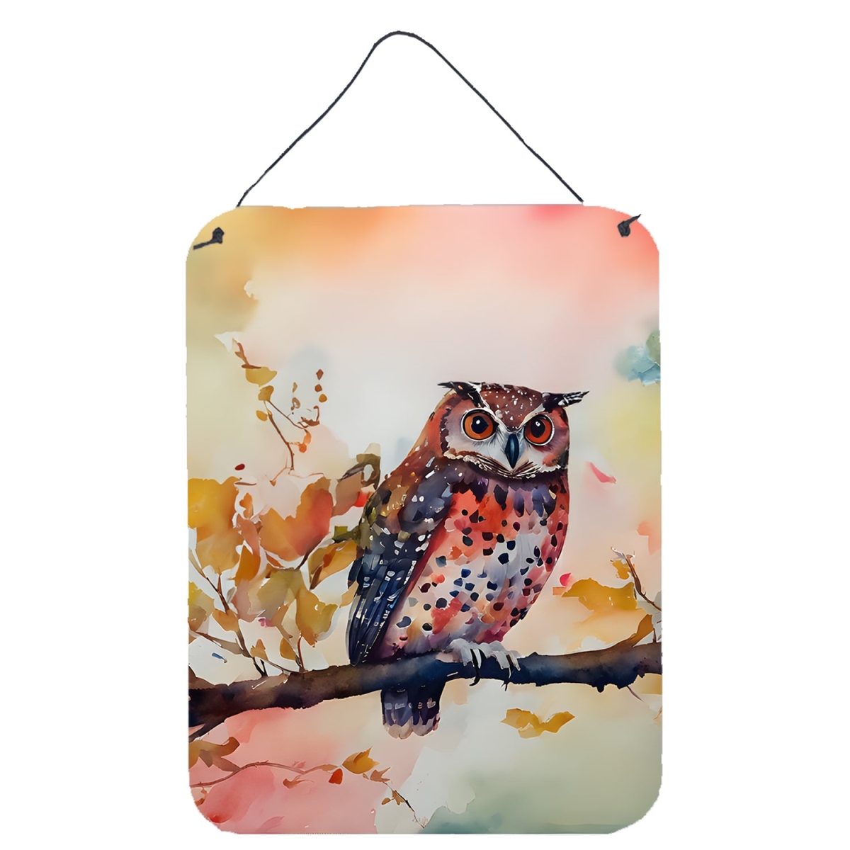DAC3220DS1216 16 x 12 in. Elf Owl Wall or Door Hanging Prints