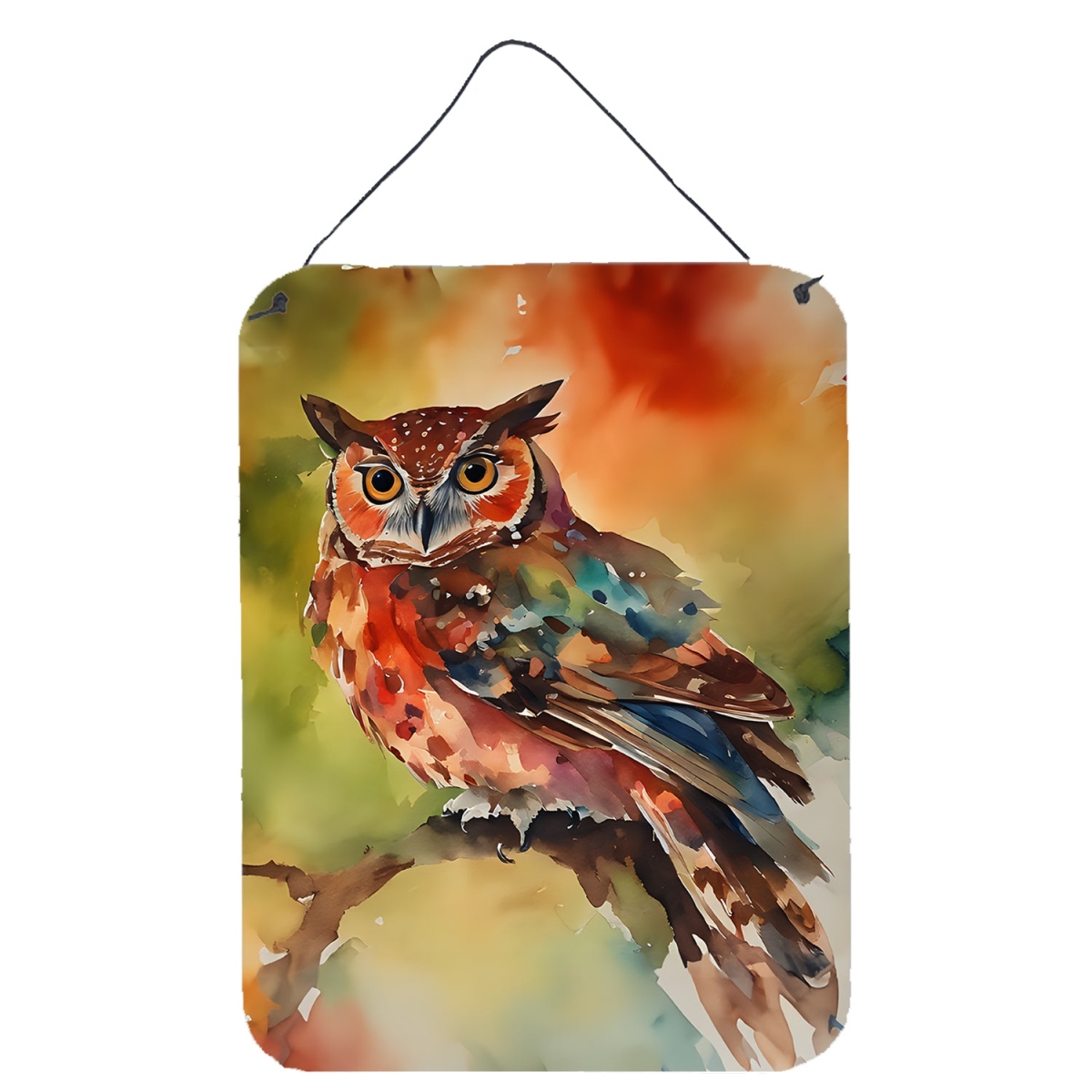 DAC3221DS1216 16 x 12 in. Elf Owl Wall or Door Hanging Prints
