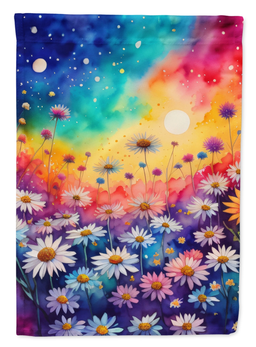 DAC1407CHF 40 x 28 in. Asters in Color House Flag