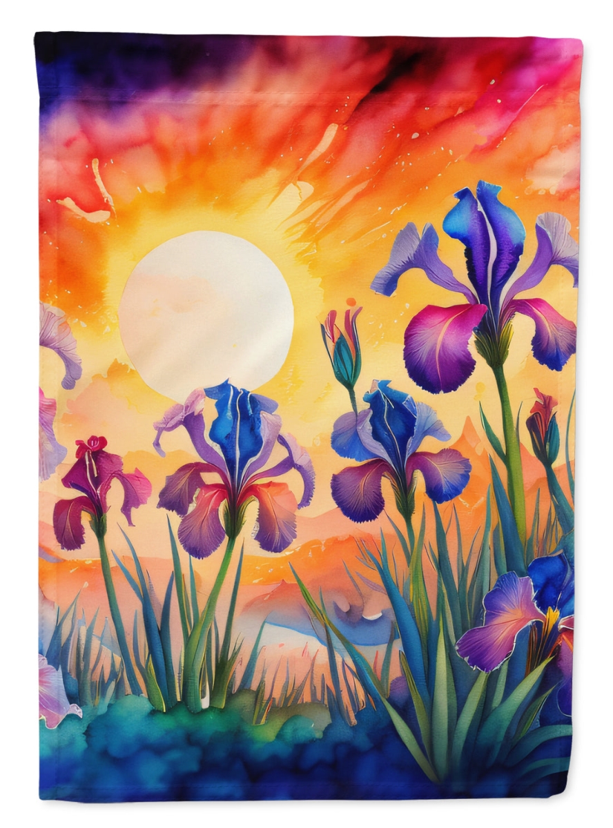 DAC1442CHF 40 x 28 in. Iris in Color House Flag