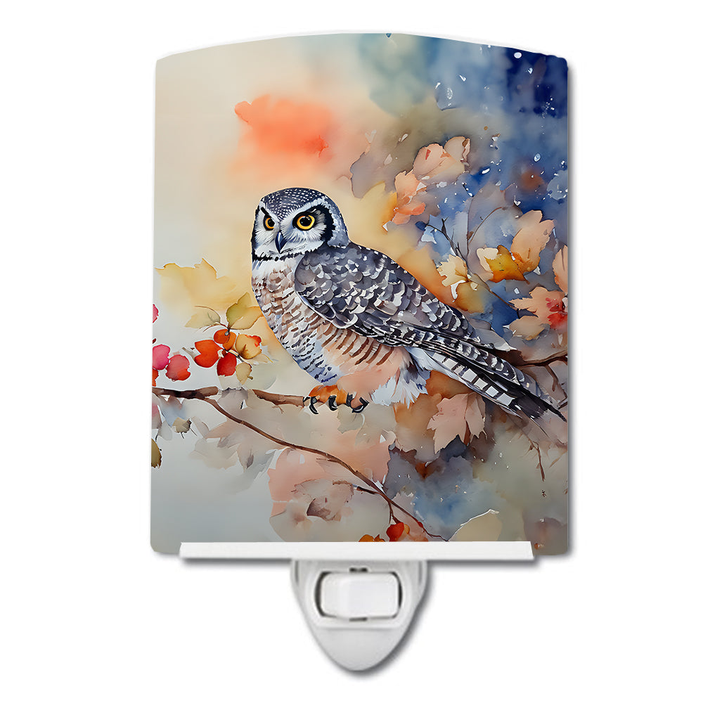 DAC3244CNL 6 x 4 in. Northern Hawk Owl Ceramic Night Light