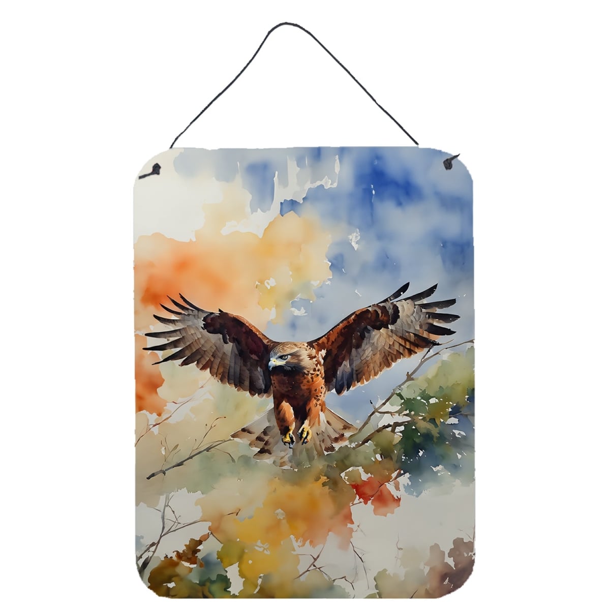 DAC3231DS1216 16 x 12 in. Hawk Wall or Door Hanging Prints