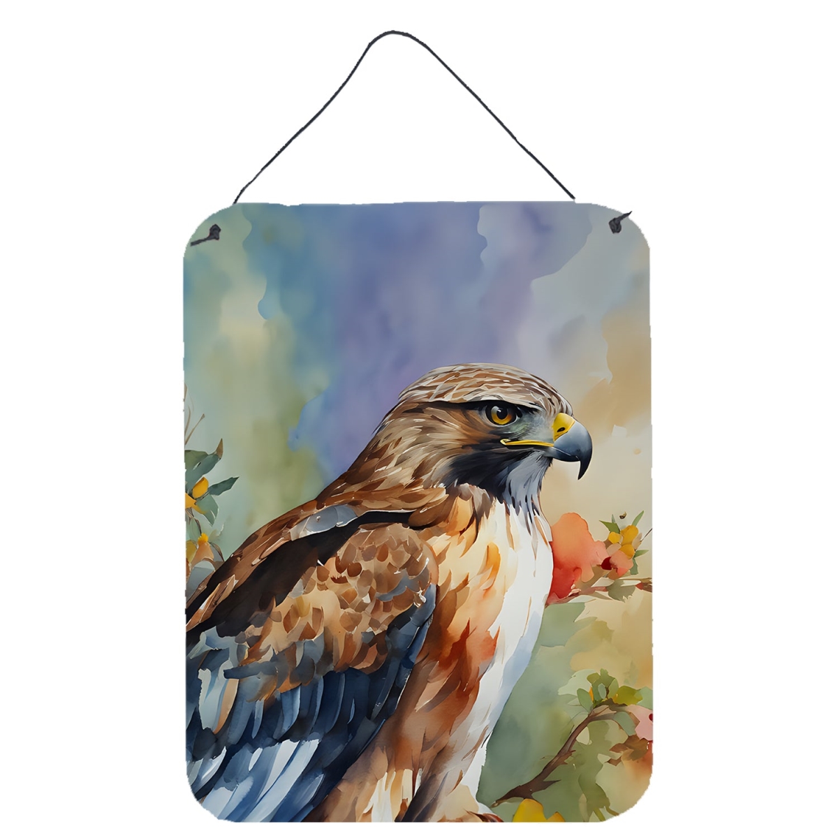 DAC3232DS1216 16 x 12 in. Hawk Wall or Door Hanging Prints