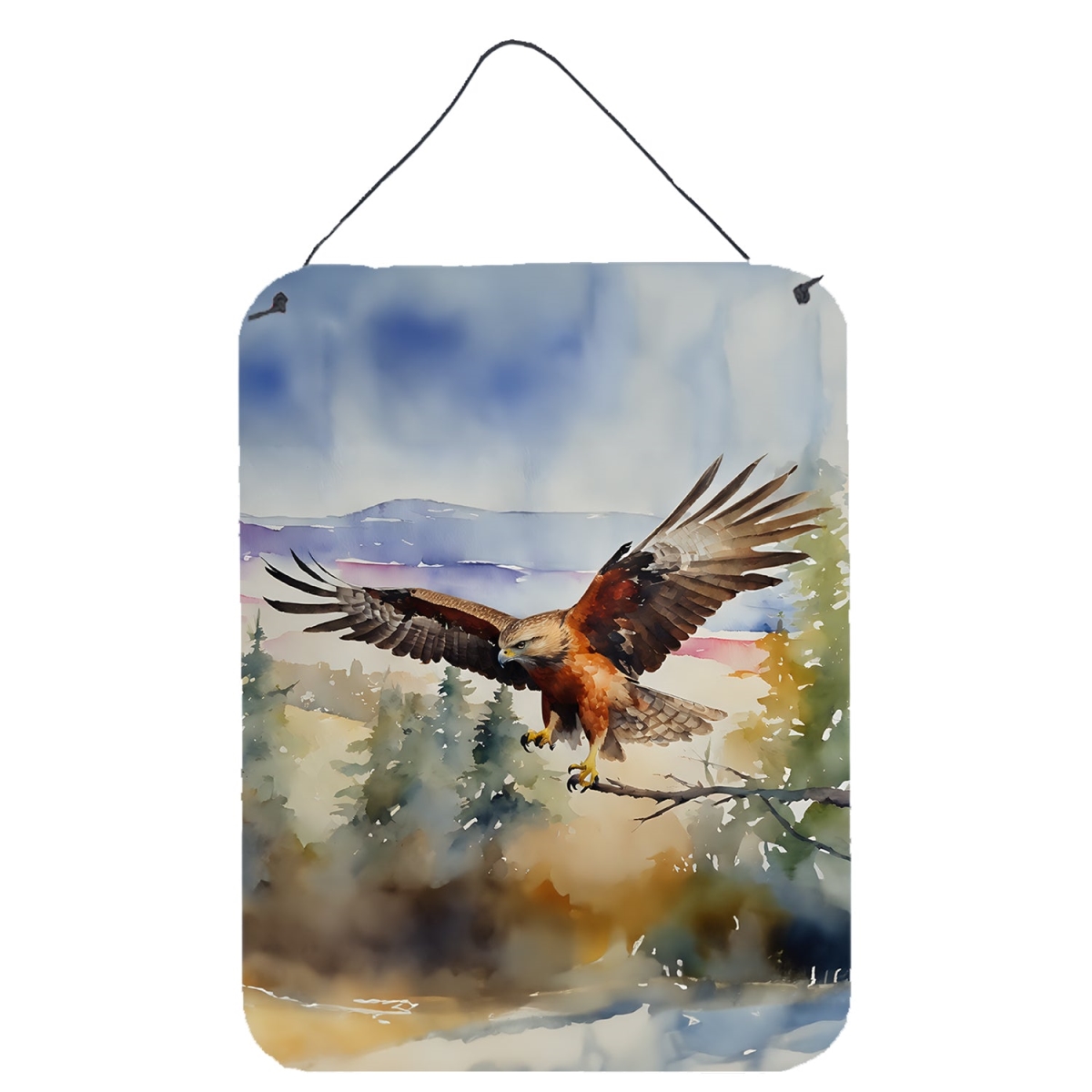 DAC3233DS1216 16 x 12 in. Hawk Wall or Door Hanging Prints