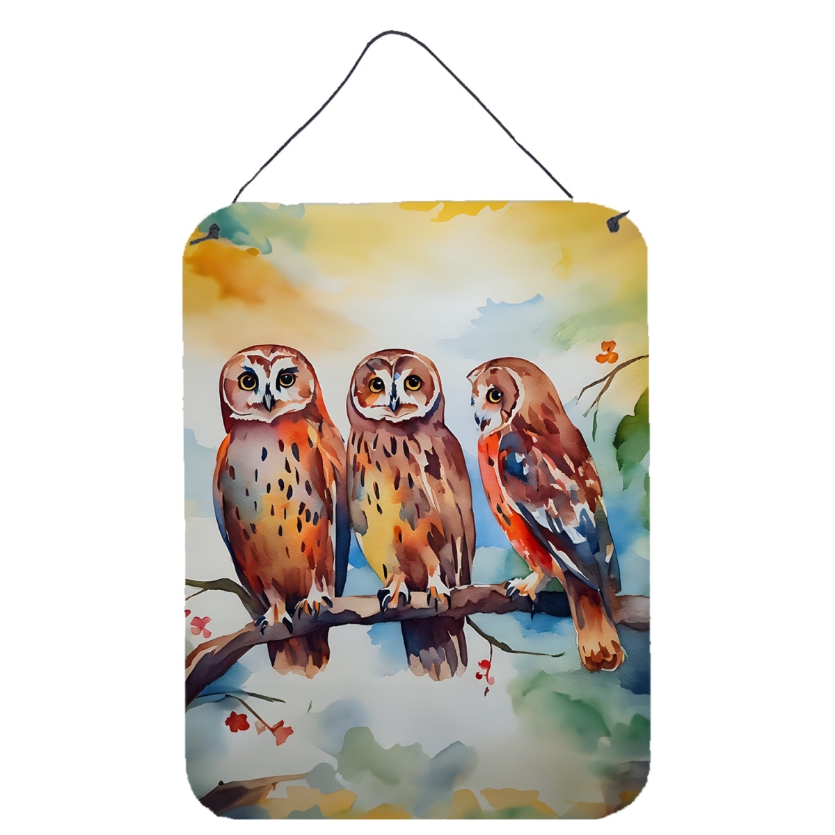 DAC3247DS1216 16 x 12 in. Owls Wall or Door Hanging Prints