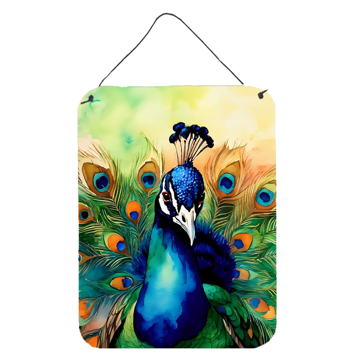 DAC3248DS1216 16 x 12 in. Peacock Wall or Door Hanging Prints