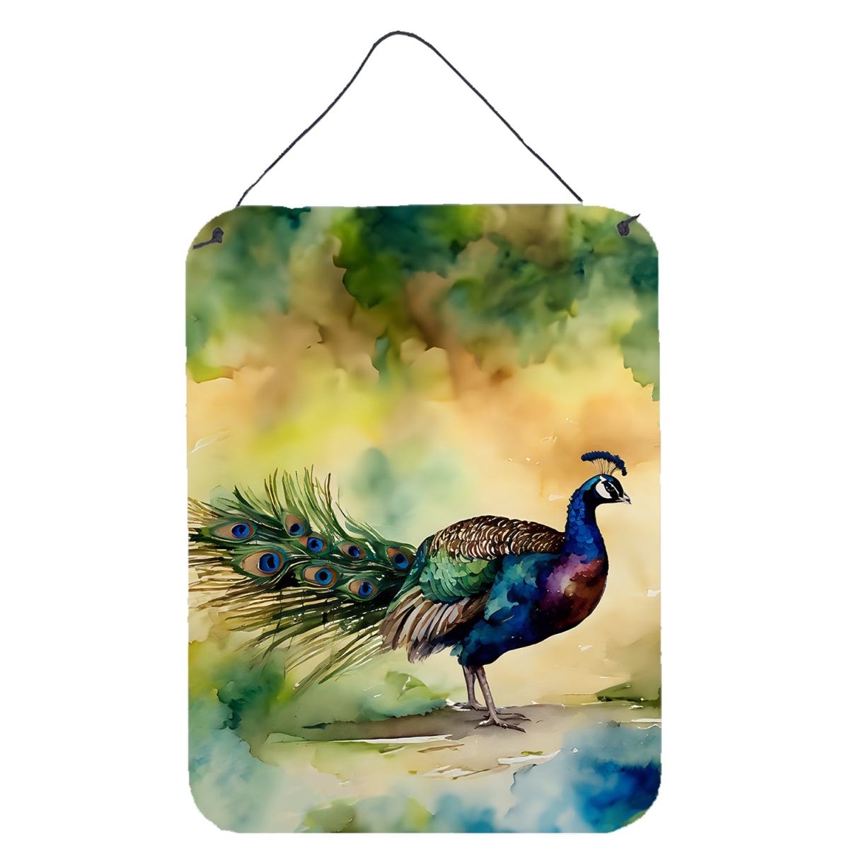 DAC3252DS1216 16 x 12 in. Peacock Wall or Door Hanging Prints
