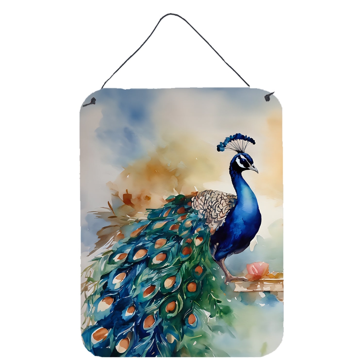 DAC3253DS1216 16 x 12 in. Peacock Wall or Door Hanging Prints