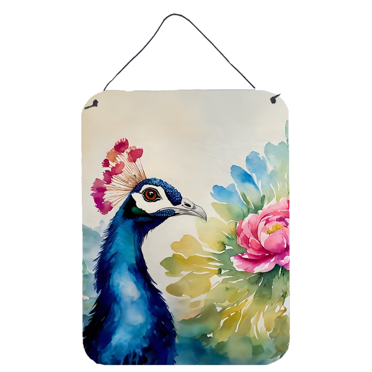 DAC3254DS1216 16 x 12 in. Peacock Wall or Door Hanging Prints