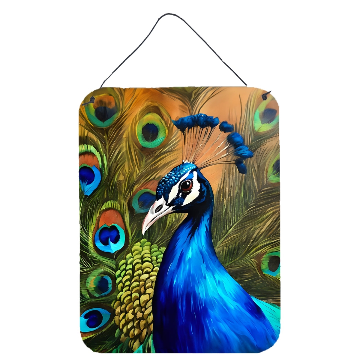 DAC3255DS1216 16 x 12 in. Peacock Wall or Door Hanging Prints