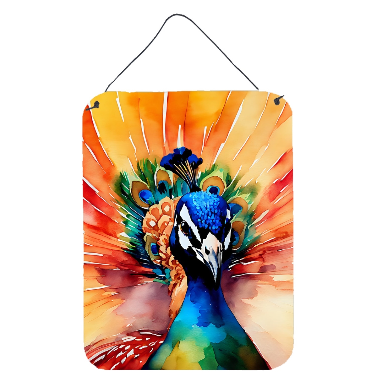 DAC3256DS1216 16 x 12 in. Peacock Wall or Door Hanging Prints