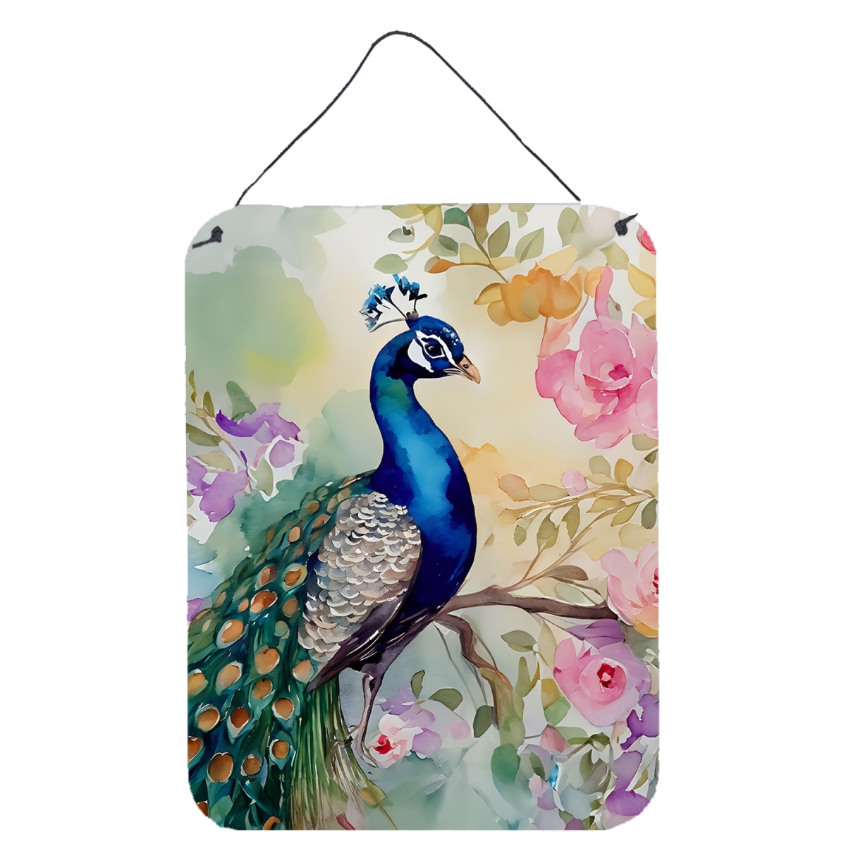 DAC3257DS1216 16 x 12 in. Peacock Wall or Door Hanging Prints