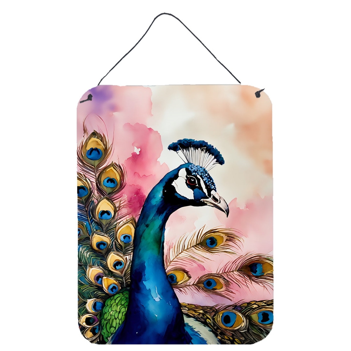 DAC3258DS1216 16 x 12 in. Peacock Wall or Door Hanging Prints