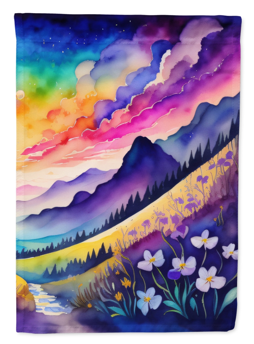DAC1463CHF 40 x 28 in. Violets in Color House Flag