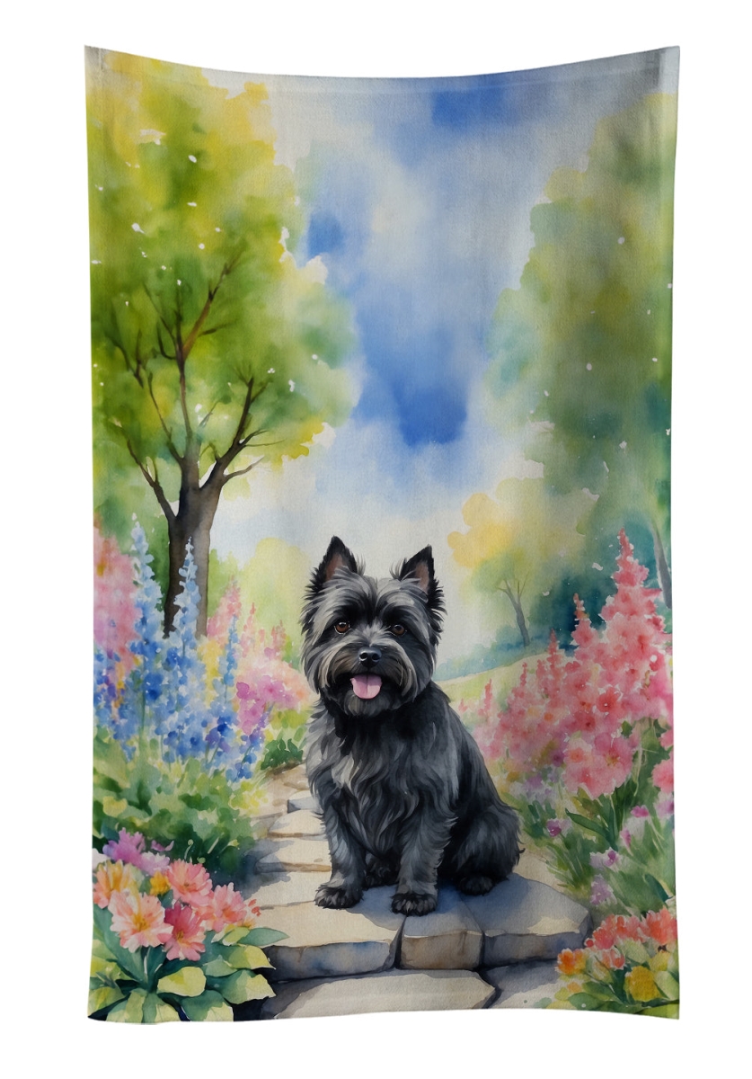 Picture of Carolines Treasures DAC6590KTWL 25 x 15 in. Cairn Terrier Spring Path Kitchen Towel